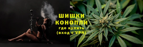 соль ск Волосово
