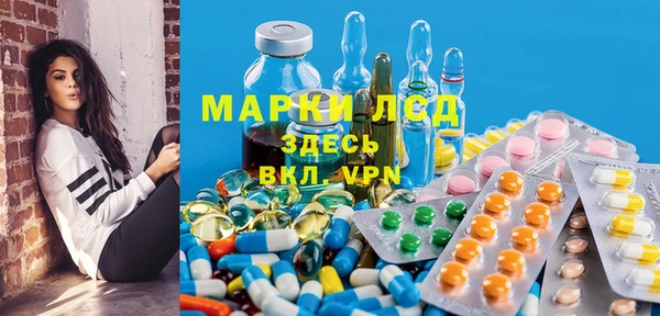 PSILOCYBIN Лабытнанги
