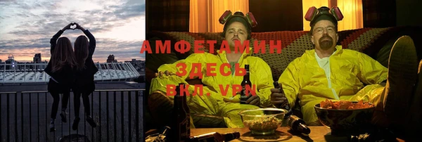 гидра Пересвет